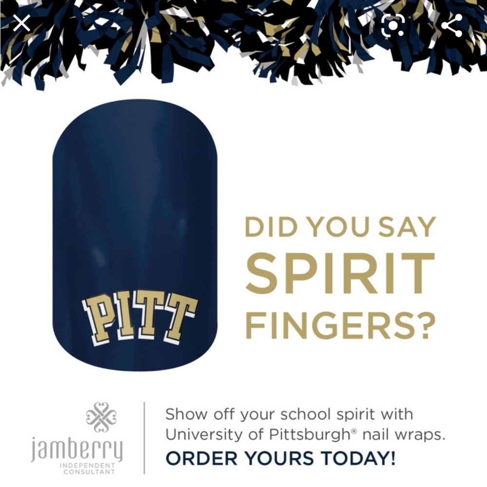NWT Pittsburgh Panthers Jamberry Nail Wrap